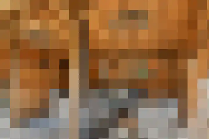 Kolkstraat 11 Sprundel thumbnail 42