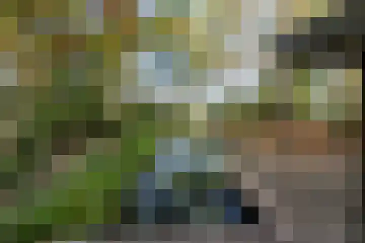 Kolkstraat 11 Sprundel thumbnail 45