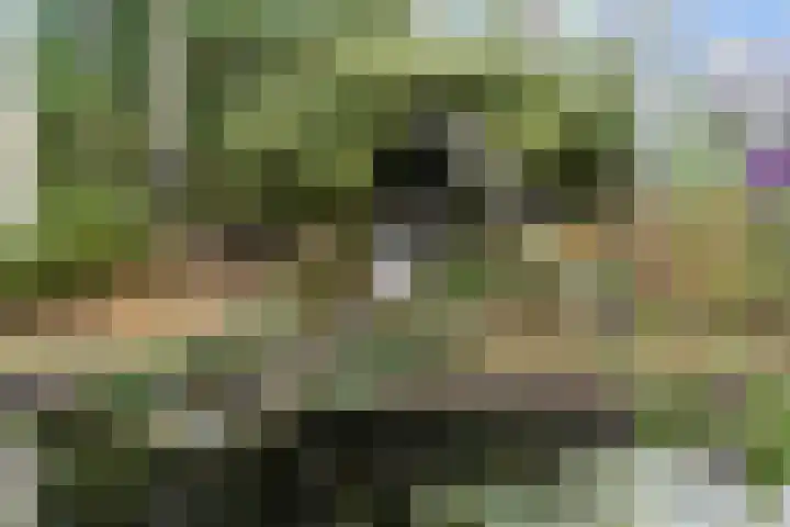 Kolkstraat 11 Sprundel thumbnail 46