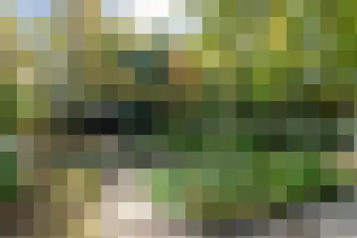 Kolkstraat 11 Sprundel thumbnail 47