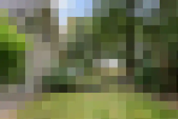 Kolkstraat 11 Sprundel thumbnail 52