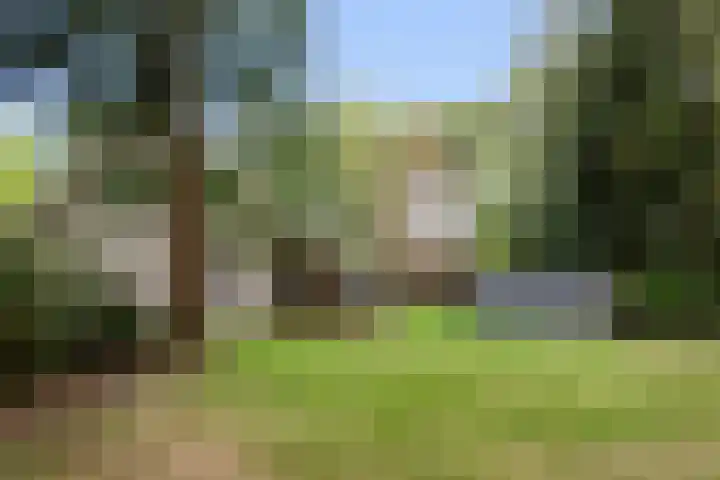 Kolkstraat 11 Sprundel thumbnail 53