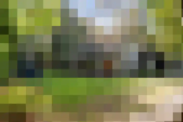 Kolkstraat 11 Sprundel thumbnail 54