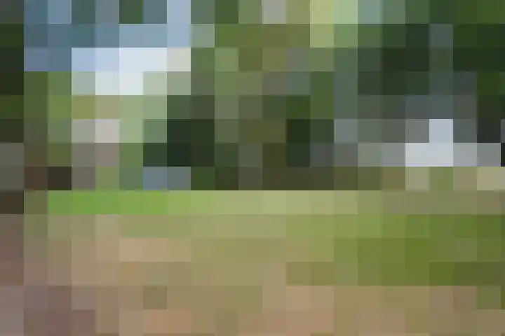 Kolkstraat 11 Sprundel thumbnail 56