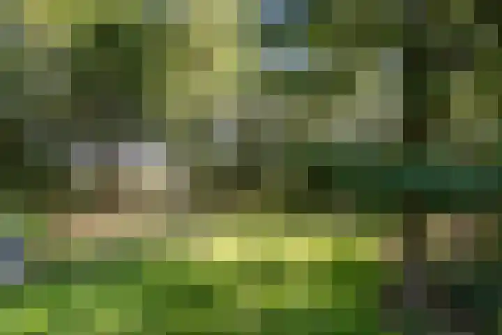 Kolkstraat 11 Sprundel thumbnail 57
