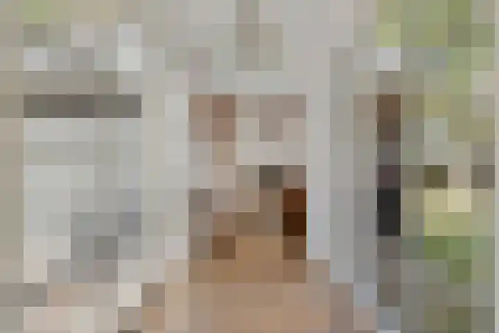 Kolkstraat 11 Sprundel thumbnail 6