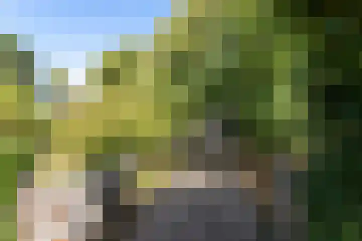 Kolkstraat 11 Sprundel thumbnail 61