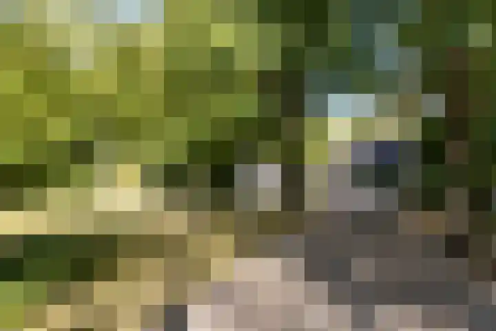 Kolkstraat 11 Sprundel thumbnail 62