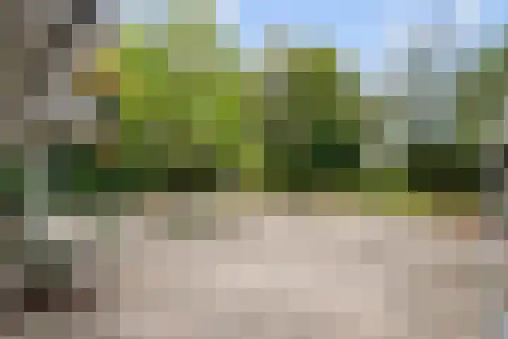 Kolkstraat 11 Sprundel thumbnail 64