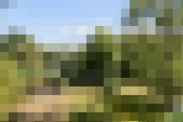 Kolkstraat 11 Sprundel thumbnail 66