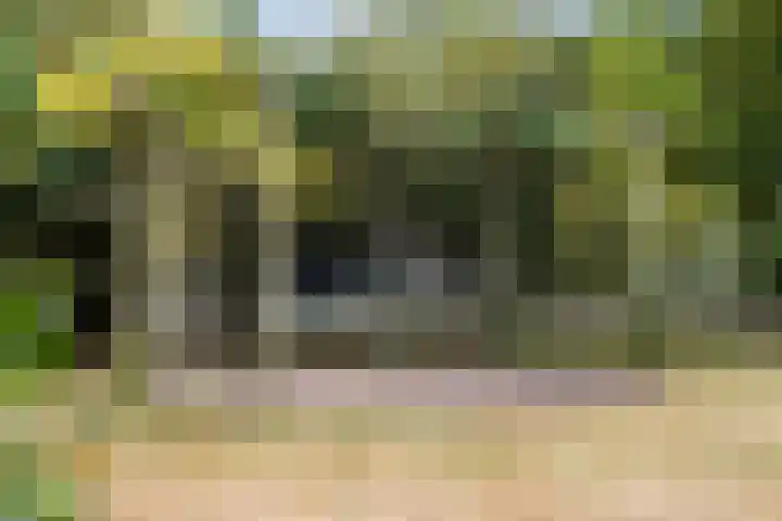 Kolkstraat 11 Sprundel thumbnail 67