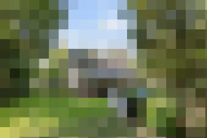 Kolkstraat 11 Sprundel thumbnail 70