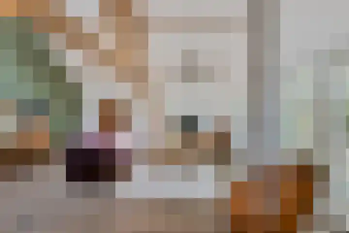 Kolkstraat 11 Sprundel thumbnail 8