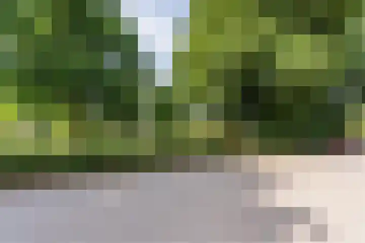 Kollenberg 40 Esch thumbnail 46