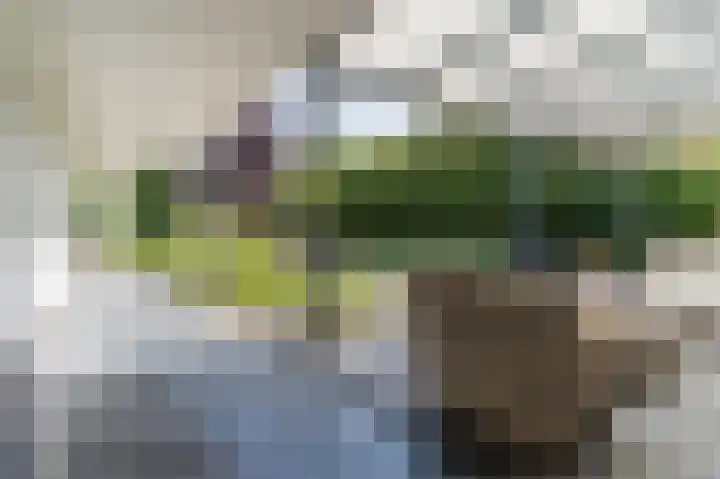 Kollenberg 40 Esch thumbnail 52