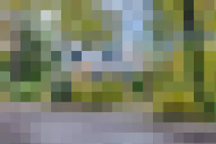 Köllinglaan 9 Dieren