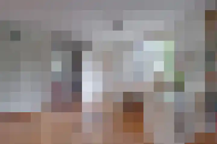 Köllinglaan 9 Dieren thumbnail 12