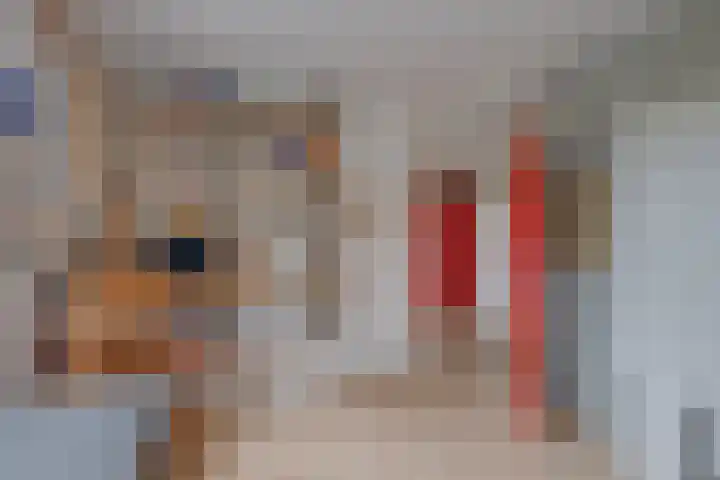 Köllinglaan 9 Dieren thumbnail 31