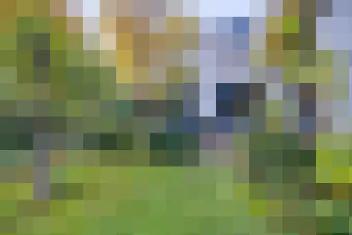 Köllinglaan 9 Dieren thumbnail 35