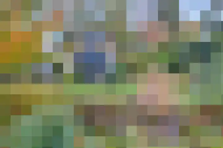 Köllinglaan 9 Dieren thumbnail 37