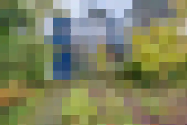 Köllinglaan 9 Dieren thumbnail 4
