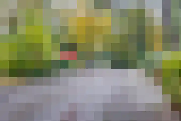 Köllinglaan 9 Dieren thumbnail 49