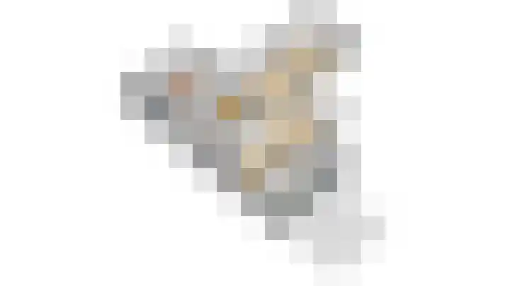Köllinglaan 9 Dieren thumbnail 52