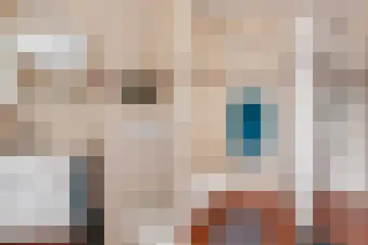 Köllingserf 6 Holten thumbnail 33