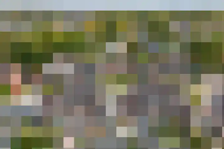 Köllingserf 6 Holten thumbnail 45