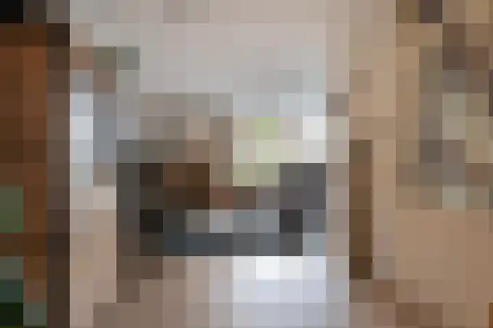 Köllingserf 6 Holten thumbnail 8