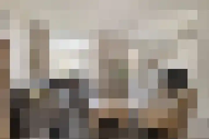 Logo Kolmeijer makelaars Malden