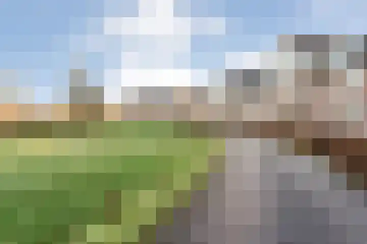 Kolonieweg 3 32 Havelte thumbnail 30