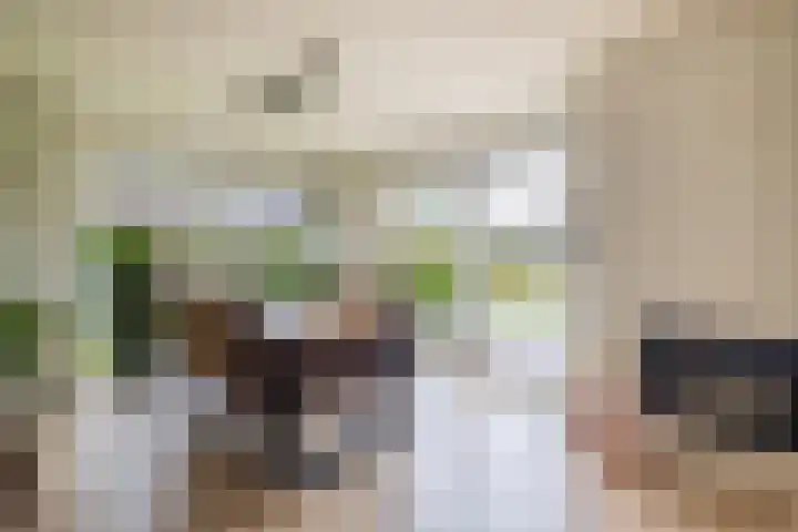 Kolonieweg 9 Havelte thumbnail 13