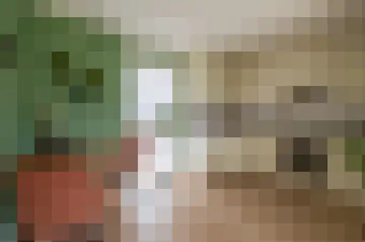 Kolonieweg 9 Havelte thumbnail 15