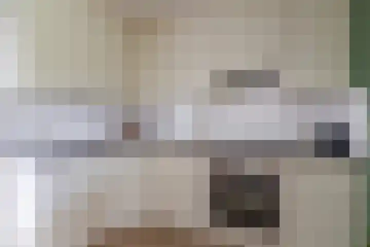 Kolonieweg 9 Havelte thumbnail 16
