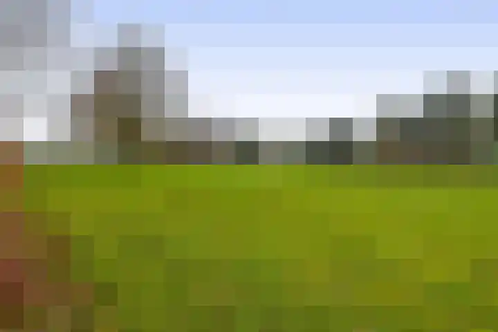 Kolonieweg 9 Havelte thumbnail 36