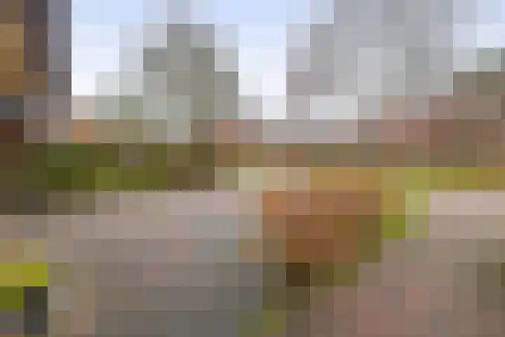 Kolonieweg 9 Havelte thumbnail 43
