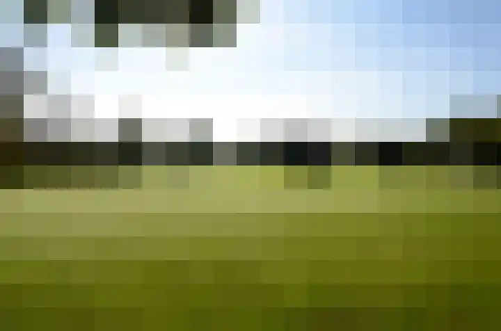 Kolonieweg 9 Havelte thumbnail 50