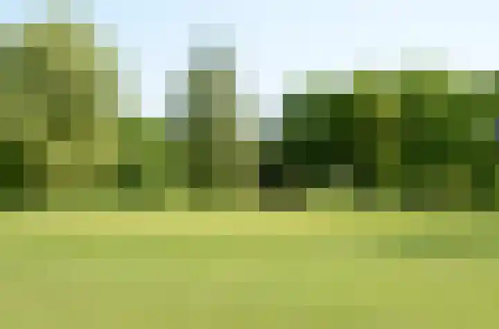 Kolonieweg 9 Havelte thumbnail 51