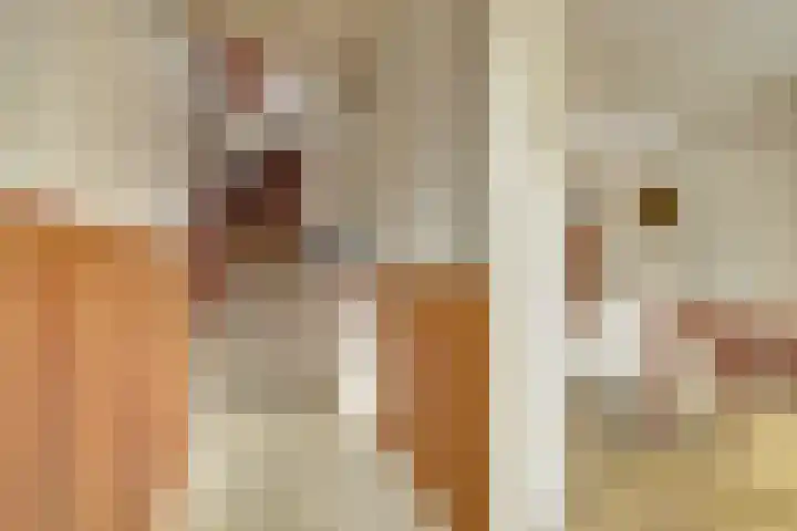 Kom Lekdijk 12 Lexmond thumbnail 12