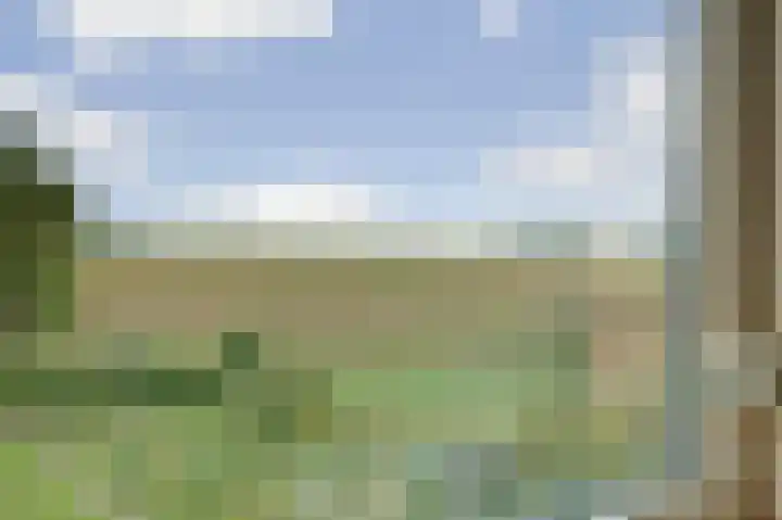 Kom Lekdijk 12 Lexmond thumbnail 20