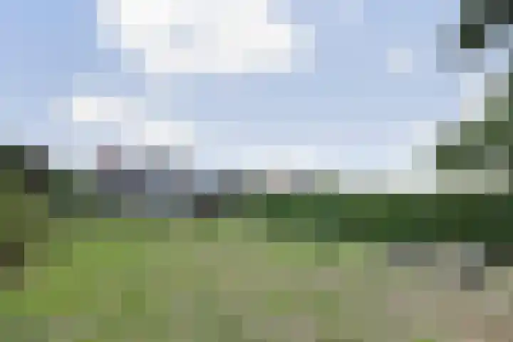 Kom Lekdijk 12 Lexmond thumbnail 28