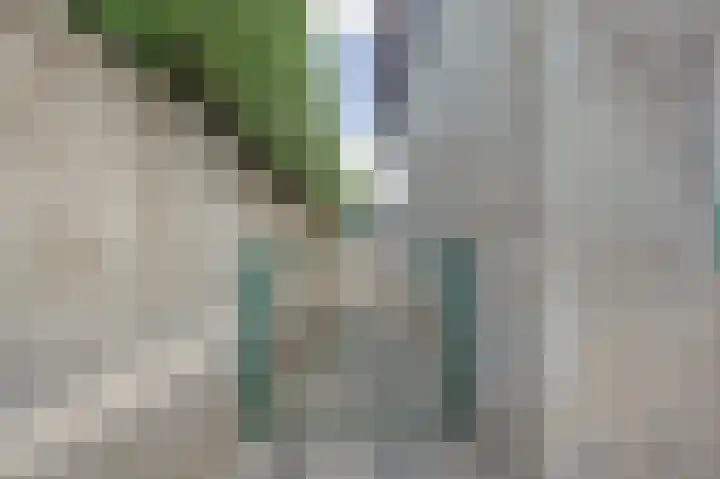 Kom Lekdijk 12 Lexmond thumbnail 32
