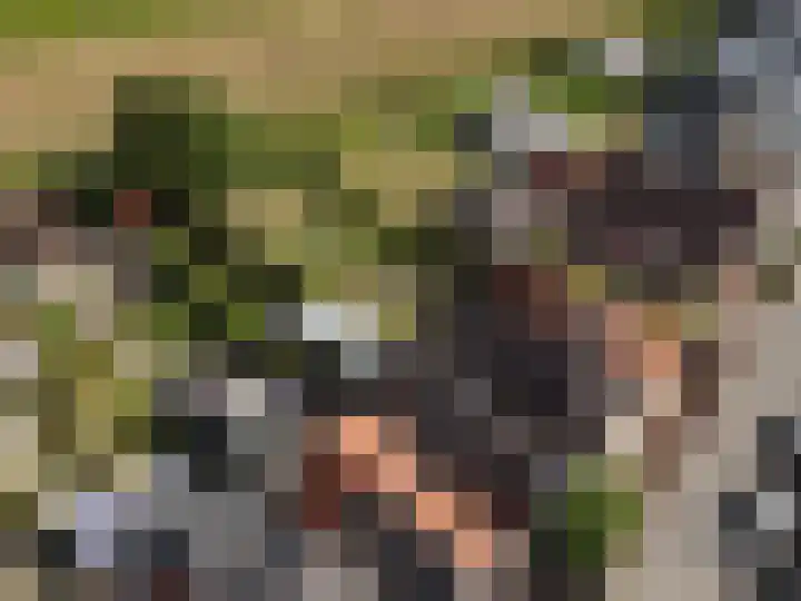 Kom Lekdijk 12 Lexmond thumbnail 34