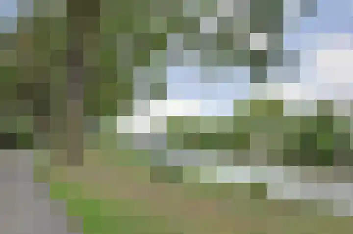 Kom Lekdijk 12 Lexmond thumbnail 38