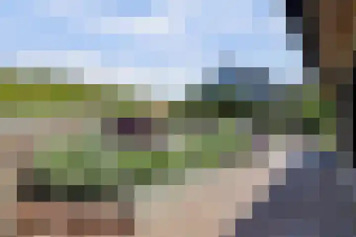 Kom Lekdijk 55 Lexmond thumbnail 33