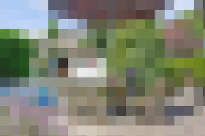 Kom Lekdijk 55 Lexmond thumbnail 39