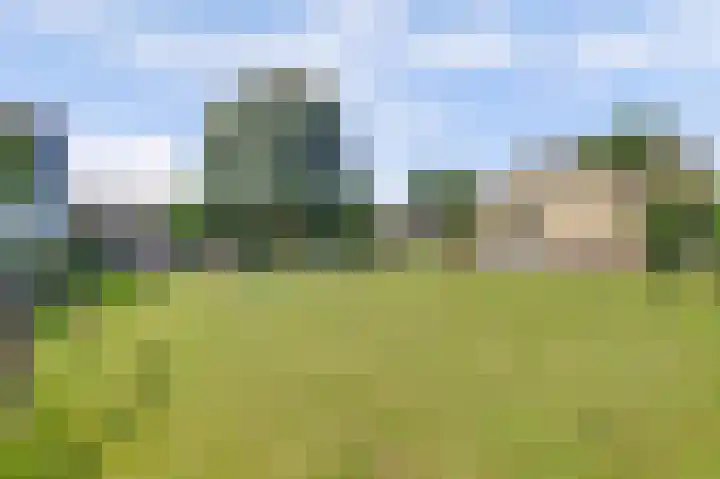 Kom Lekdijk 55 Lexmond thumbnail 41