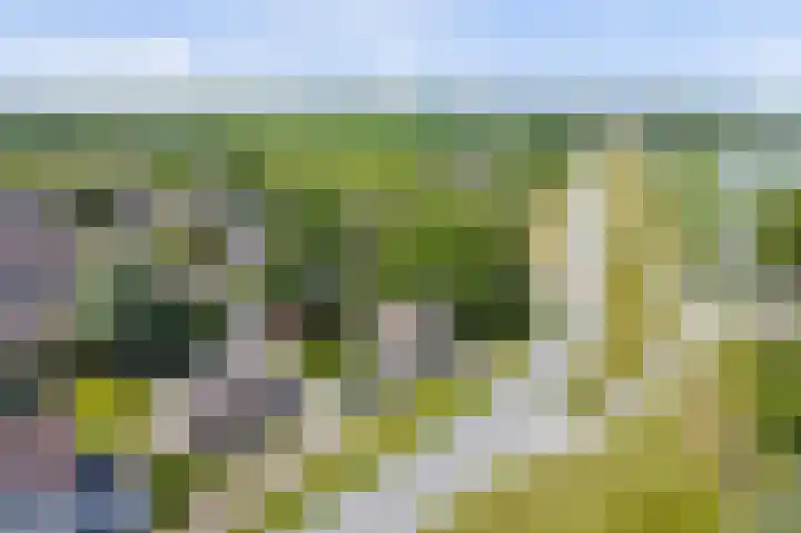 Kom Lekdijk 55 Lexmond thumbnail 44
