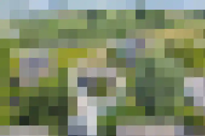 Kom Lekdijk 55 Lexmond thumbnail 45